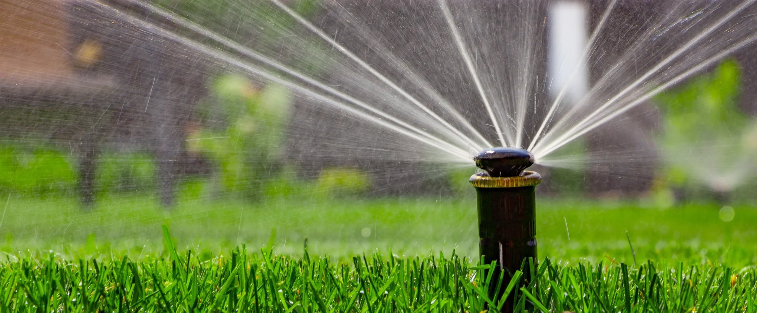 Irrigation & Water Management